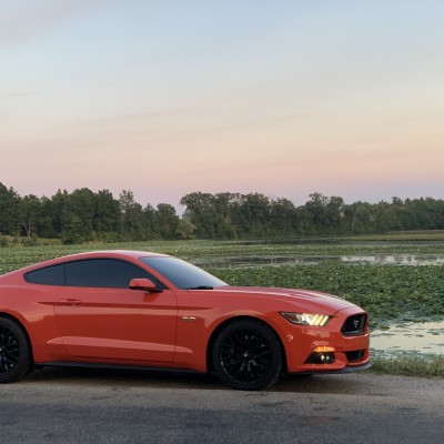 nash_stang's Ford Mustang GT