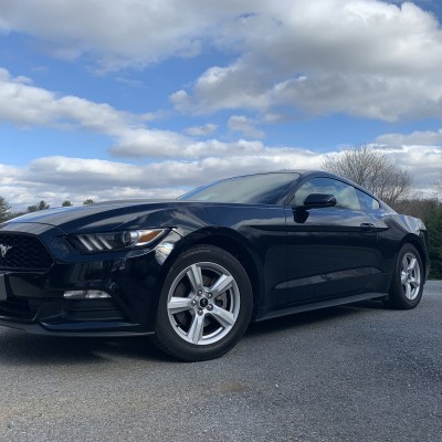 PandaKingConnor's Ford Mustang