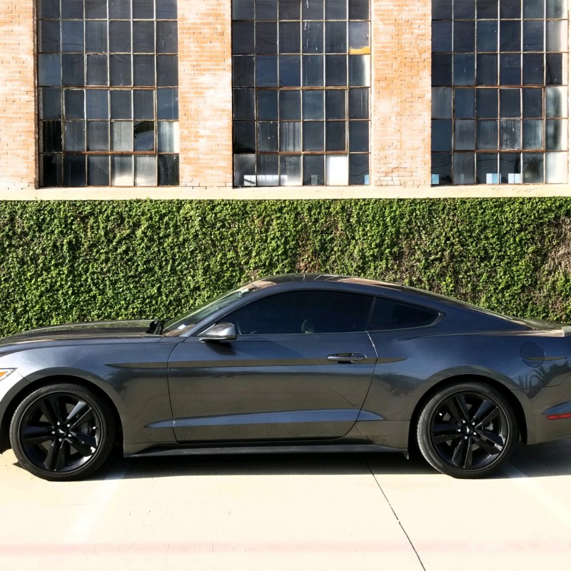 2.3__Sally's Ford Mustang