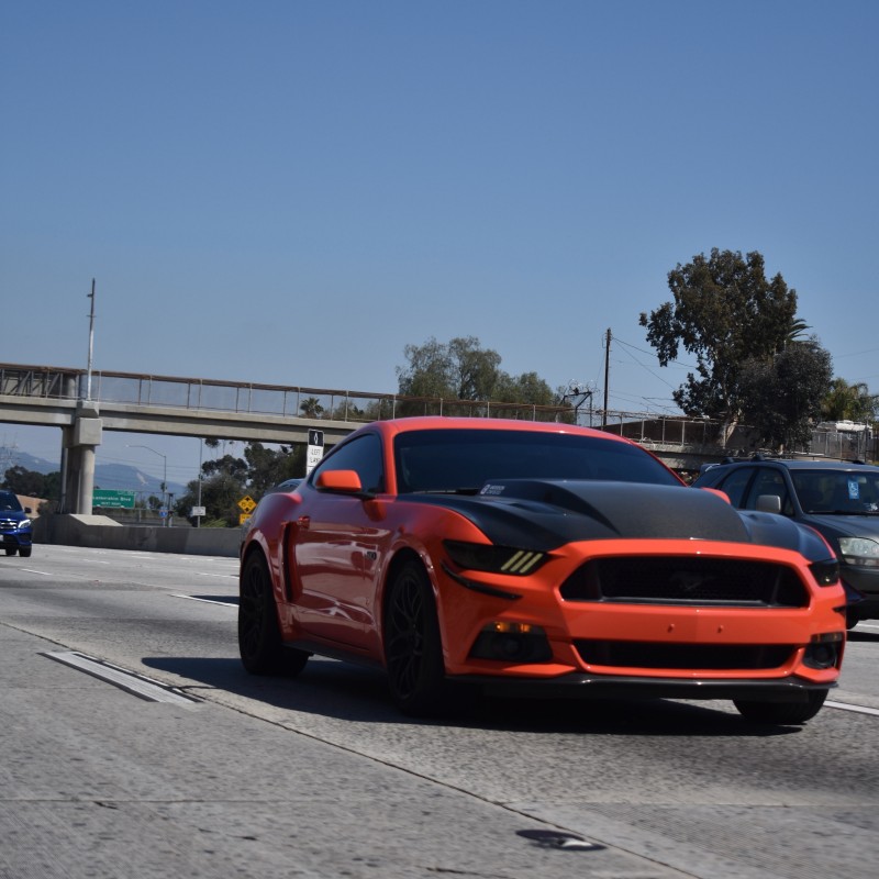 4.6waldo's Ford Mustang