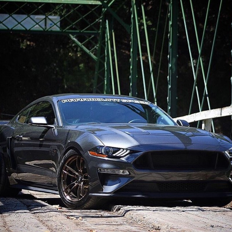 5LTR550's Ford Mustang GT