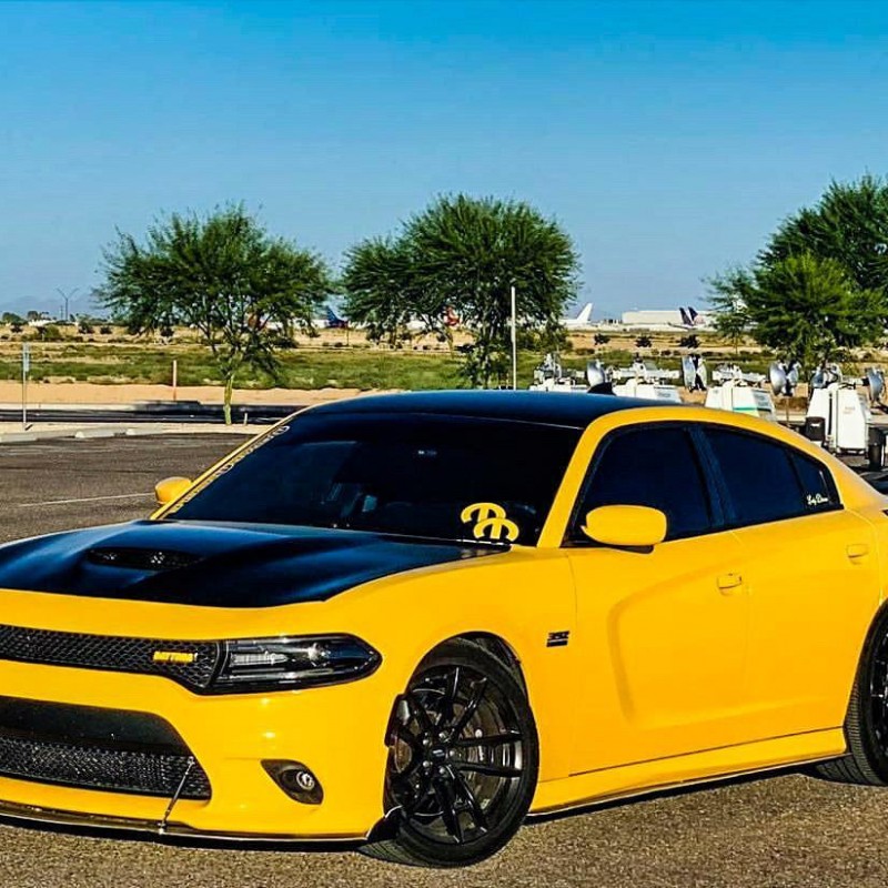 Electra's Dodge Charger