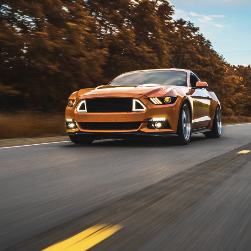 Paine_whocares's Ford Mustang