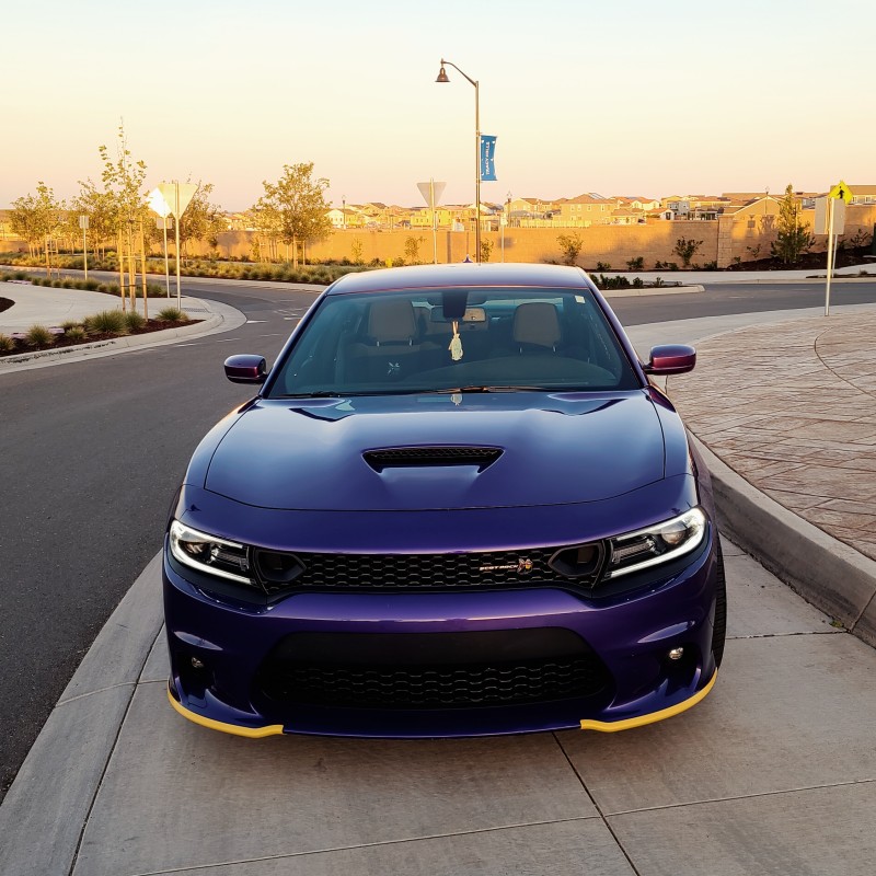 PlumBeeCrazy's Dodge Charger