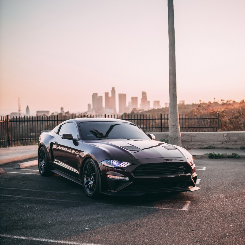 michellyvanelly's Ford Mustang